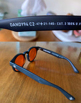 THE DANDY WARHOLS SUNGLASSES KIT