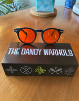 THE DANDY WARHOLS SUNGLASSES KIT