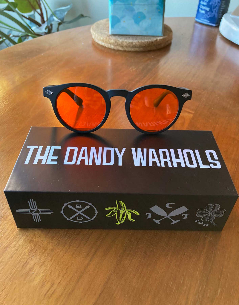 THE DANDY WARHOLS SUNGLASSES KIT