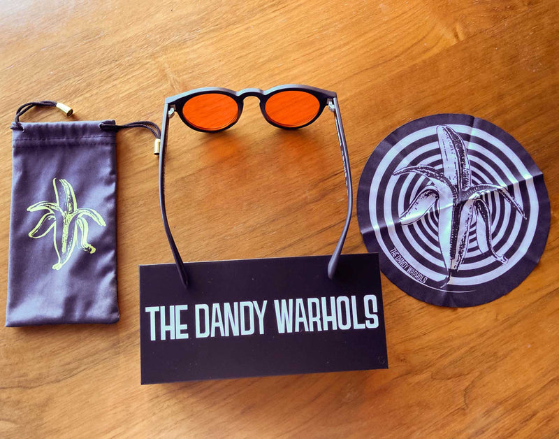 THE DANDY WARHOLS SUNGLASSES KIT